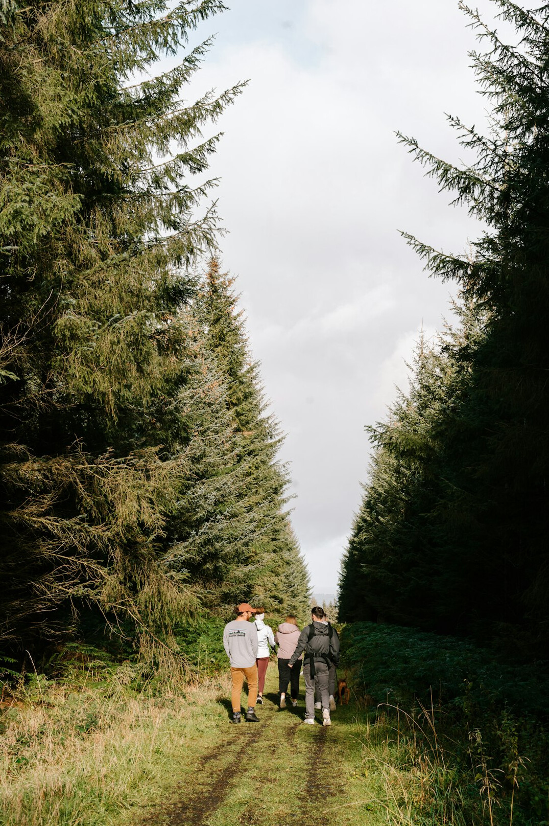 group hiking in nature